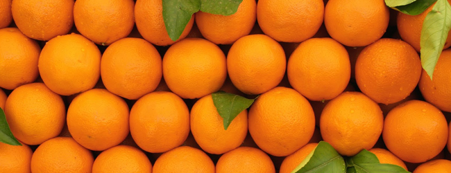 Everywhere Orange 