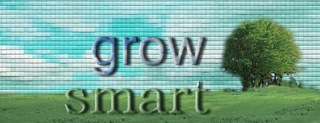 GROW & SMART Models