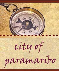 cityofparamaribo.nl